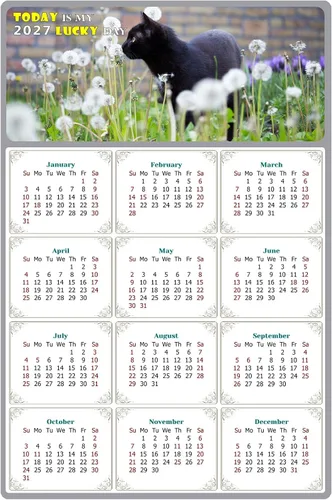 Calendario magnético 2025 – Imanes del calendario – Today is my Lucky Day – Resistente a la decoloración, desgarros y agua – Temática de gato 05