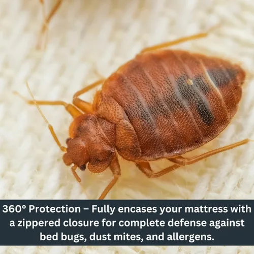 Miniatura 3 de Protector de colchón impermeable con cremallera – Carcasa de 6 lados, a prueba de chinches y ácaros del polvo, cubierta de 12 pulgadas