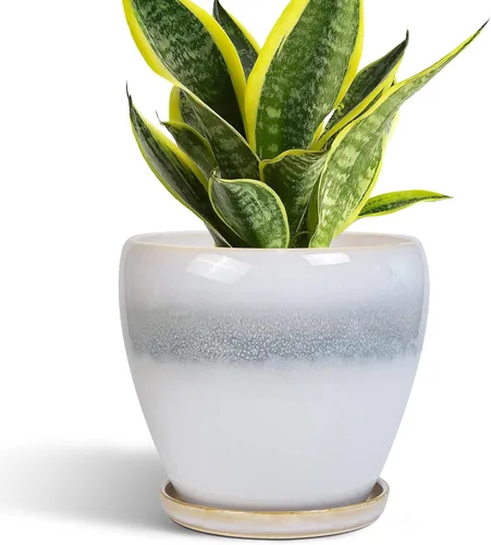 Miniatura 38 de Maceta para Plantas de 6.8 Pulgadas - Maceta de Cerámica con Orificio de Drenaje y Platillo, Maceta Redonda Moderna para Flores, Macetas