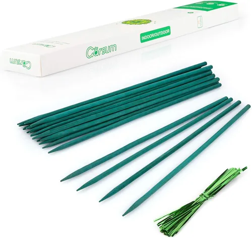 Garsum Palos de bambú verdes para plantas de jardín, soporte floral de madera, letrero de madera, palos de jardín de 15 pulgadas, paquete de 25