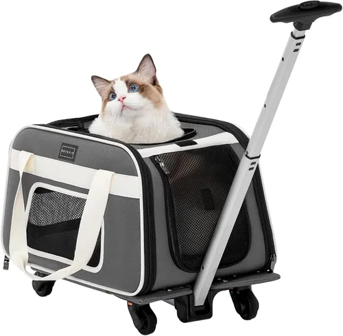 PETSFIT Transportador para gatos aprobado por aerolíneas con ruedas diseñado para perros/gatos pequeños con cuerda de seguridad ajustable y ruedas