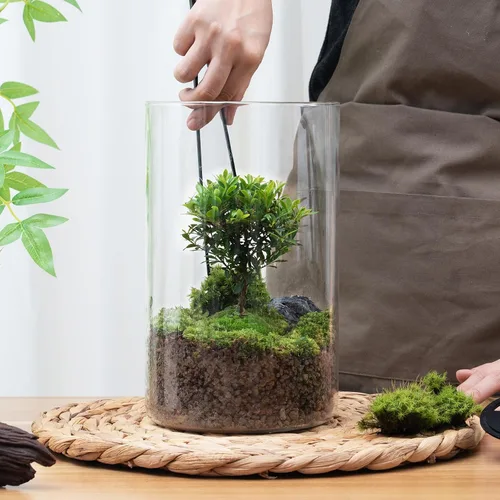 Miniatura 6 de Terrario de Vidrio de Escritorio con Luz de Crecimiento (Altura: 9.8" Diámetro: 5.9"), para Suculentas, Musgo, Jardinería en Miniatura, Acuario