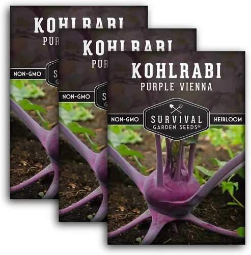 Miniatura 10 de Survival Garden Seeds - Semilla de colinabo púrpura de Viena para plantar - Paquete con instrucciones para plantar y cultivar verduras crucíferas