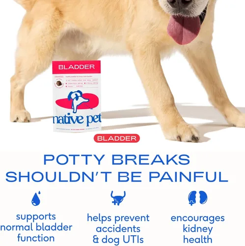 Miniatura 2 de Native Pet Tratamiento de infecciones urinarias para perros, suplemento de arándano para control de la vejiga y apoyo renal, previene la infección