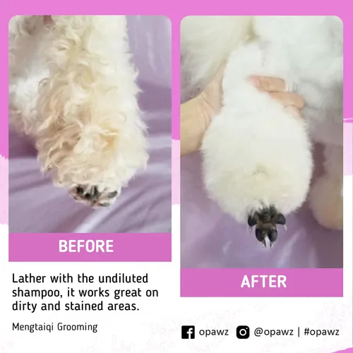 Miniatura 6 de OPAWZ 05 Champú morado blanqueador para perros y gatos, elimina de forma segura las manchas amarillas, sin blanqueador, peróxido ni sulfato