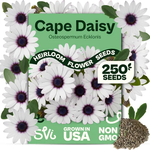 Miniatura 15 de Queen Anne 's Lace- 200 semillas – 50% de descuento venta