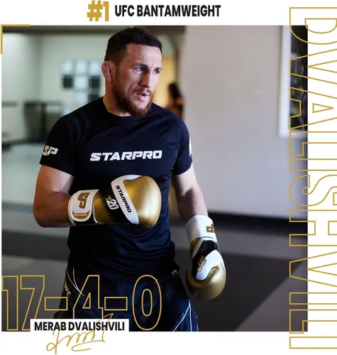 Miniatura 3 de Starpro Guantes de boxeo con soporte y protección inigualables para la muñeca, entrenamiento, muay thai, hombres y mujeres, varios colores y tamaños