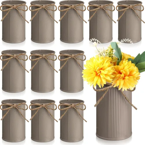 Domensi Jarrón Pequeño de Granja de 11 cm Decorativo Jarrón Vintage de Flores con Arco de Cuerda Cubos Metálicos Galvanizados Rústicos para Flores