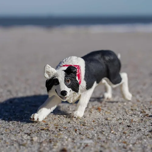 Miniatura 2 de Safari Ltd. Figura de Border Collie – Figura detallada de plástico de 5 pulgadas – Divertido juguete educativo para niños, niñas y niños a partir