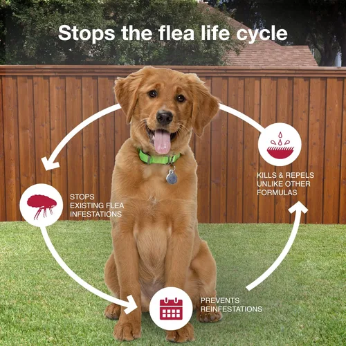 Miniatura 7 de K9 Advantix II Tratamiento y prevención recomendado por veterinarios para pulgas, garrapatas y mosquitos para perros medianos Perros 11-20 libras