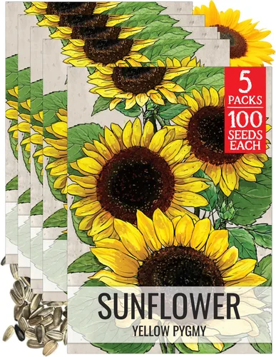 Miniatura 57 de Seed Needs Semillas de girasol para plantar girasoles de manchas solares enanas, semillas de flores de corte anual de polinización abierta