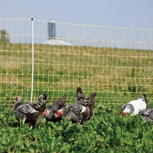 Miniatura 4 de Premier 1 Red eléctrica portátil para pollo con postes incorporados, 48 pulgadas de alto x 82 pies de largo, valla amarilla para aves de corral