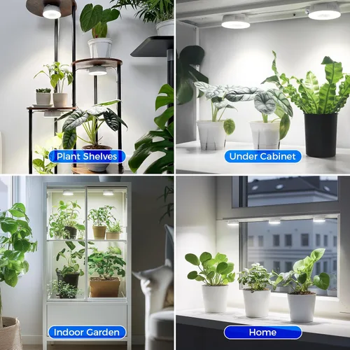 Miniatura 7 de Barrina Orbgrow OG09 Puck - Luz LED de crecimiento, 5000K 9W (equivalente a 135 vatios), luces de plantas para plantas de interior de espectro