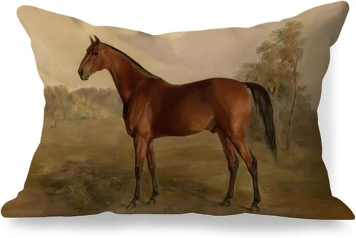 Miniatura 8 de Fundas de almohada de 12 x 20 pulgadas, regalos para amantes de los caballos, fundas de almohada lumbares decorativas para el hogar, sala de estar