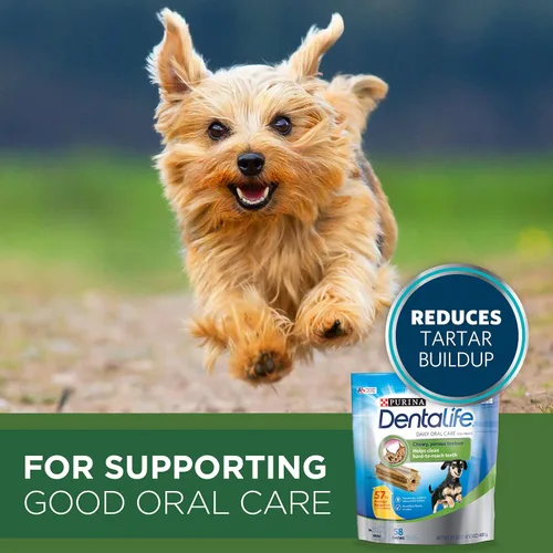 Miniatura 4 de Purina Paquete de alimento y golosinas para perros de razas pequeñas, ONE +Plus fórmula de cordero y arroz con cuidado bucal diario DentaLife