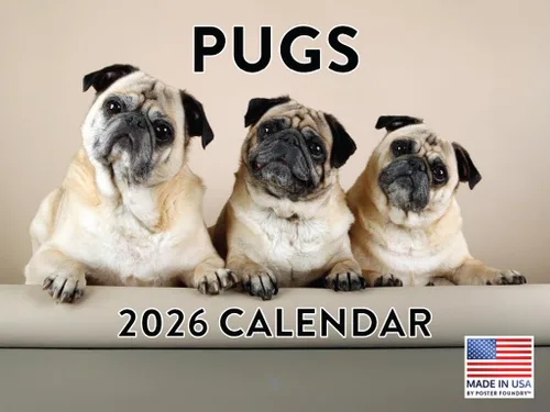 Miniatura 41 de Calendario de pared mensual 2025 Great Dane de 12 meses, fabricado en Estados Unidos