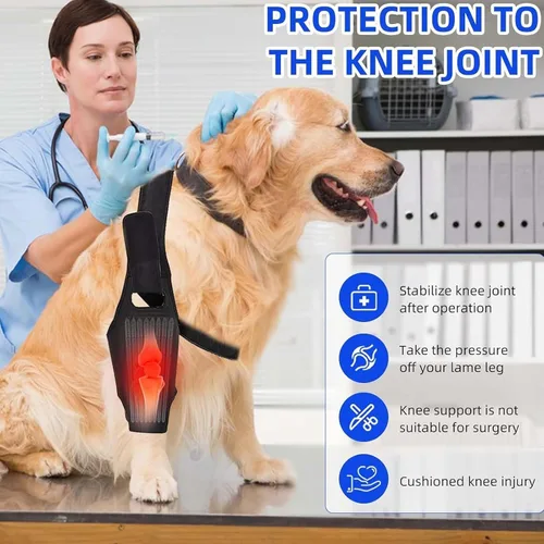 Miniatura 3 de Rodillera para perro, soporte ajustable para piernas de perro para desgarro del ligamento cruzado anterior, dolor de articulaciones, dolor muscular