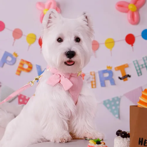 Miniatura 4 de Didog Lindo juego de arnés, collar y correa para perro pequeño con moño, arnés acolchado de malla suave y transpirable para cachorros, arnés rosa