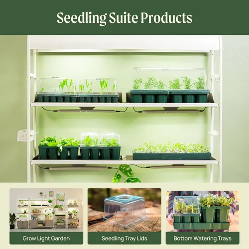 Miniatura 6 de Vego garden Bandejas de plántulas estándar sin tapa, paquete de 8 para plántulas, bandeja de inicio de cultivo reutilizable, kit de bandejas