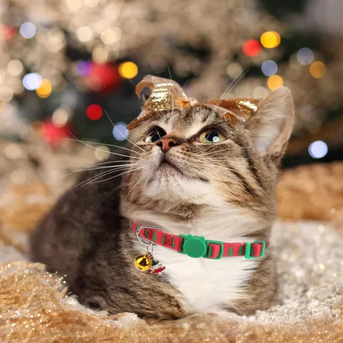 Miniatura 5 de Collares Navideños Separables para Gatos con Campana y Bonitos Colgantes - Paquete de 3 Collares de Seguridad Ajustables para Gatitos - Collar