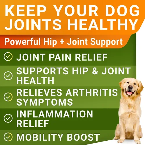 Miniatura 2 de STRELLALAB Glucosamina líquida para perros con colágeno (16 oz) – Suplemento totalmente natural para cadera y articulaciones, glucosamina