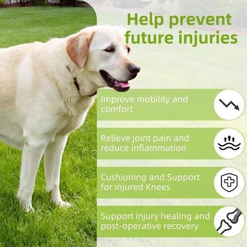 Miniatura 7 de Soporte de ACL para perro con 10 cadenas de apoyo mejoradas – Proporciona apoyo adicional para piernas traseras, lesiones de ACL y articulaciones