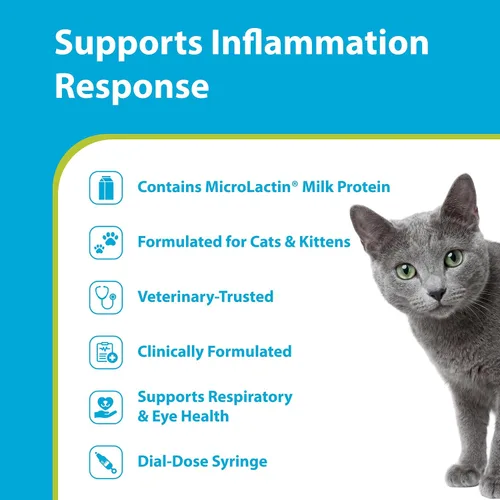 Miniatura 2 de PRN Pharmacal Duralactin Feline L-Lysine Pasta para gatos y gatitos – Apoya la salud de las articulaciones felinas, respiratoria y ocular – Pasta