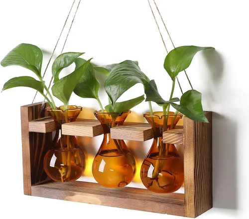 Estación de Propagación de Plantas Terrario de Plantas Regalos Únicos de Cumpleaños para Mujeres Decoración para Hogar y Oficina Maceta con Soporte