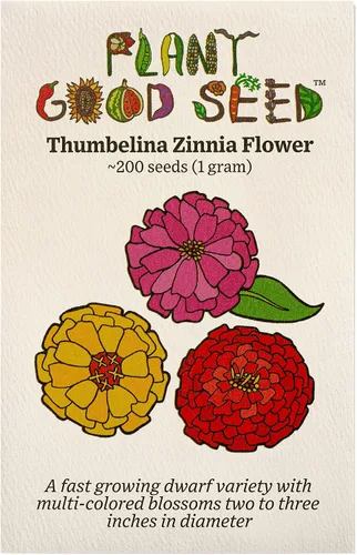 Miniatura 8 de Plant Good Seed Organic Benary's - Semillas gigantes de zinnia de coral para plantar: flor cortada para clima cálido, flores apiladas doble, paquete