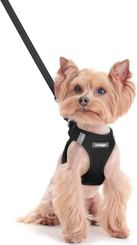 Miniatura 135 de rabbitgoo Juego de arnés para perro de tamaño pequeño y correa, chaleco ligero suave para cachorro, arnés de malla transpirable para mascotas