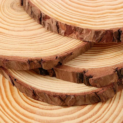 Miniatura 3 de JEUIHAU 10 piezas de rebanadas de madera natural sin terminar de 6.7 a 7 pulgadas, discos redondos de madera para corteza de árbol, círculos