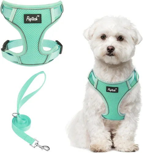 Miniatura 59 de PUPTECK Juego de arnés y correa para perro pequeño, arnés ajustable sin tirones para cachorro, chaleco de malla suave reflectante para mascotas