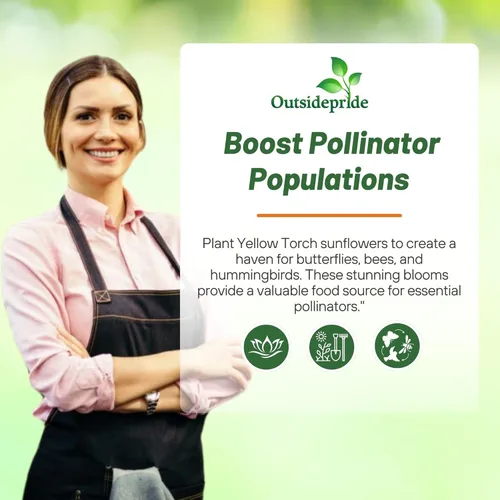 Miniatura 5 de Outsidepride Yellow Torch - Semillas de girasol mexicano – 500 piezas anuales, fáciles de cultivar, semillas de flores amarillas Tithonia Speciosa