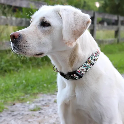 Miniatura 4 de Collar Martingale para perros, collares ajustables de nailon suave con diseño especial lindos patrones para perros pequeños, medianos y grandes Flor
