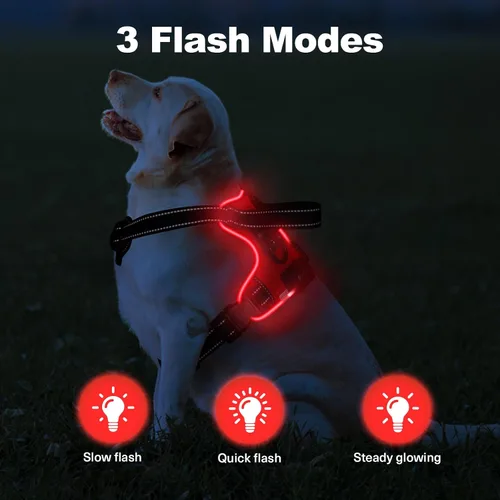 Miniatura 2 de MASBRILL Arnés iluminado para perro, sin tirones, arnés LED brillante con asa, ajustable para perros pequeños a grandes Rojo