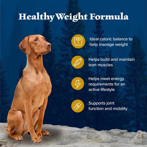 Miniatura 4 de Blue Buffalo Wilderness alimento seco para control de peso de perros adultos con pollo real más cereales saludables, receta alta en proteínas, hecho