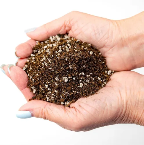 Miniatura 2 de GARDENERA Mezcla de tierra orgánica prémium para macetas para papas, perfecta para cultivar papas deliciosas y saludables en tu jardín casero, bolsa