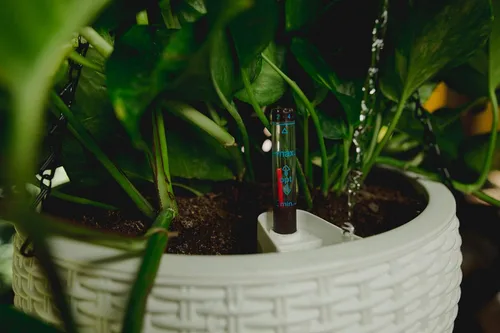 Miniatura 7 de GARDENIX DECOR Macetas colgantes de riego automático de 11 pulgadas para plantas de interior, maceta con indicador de nivel de agua para plantas