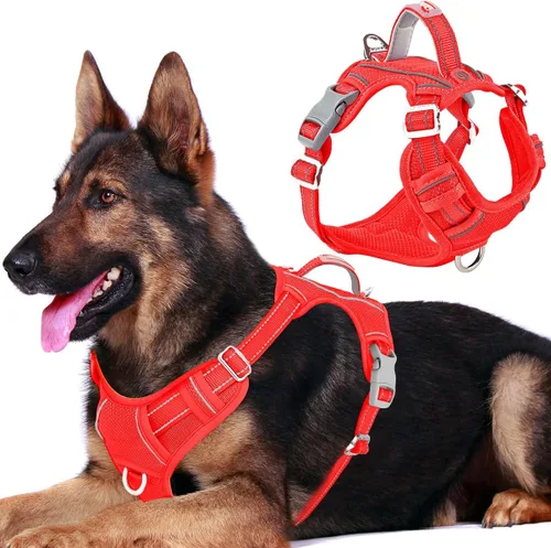 Miniatura 57 de BARKBAY Arnés para perro sin tirones con bolsillo para etiqueta de identificación, resistente, reflectante, fácil control para perros grandes