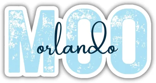 MCO Orlando Airport Code Travel Sticker, Multiple Colors, Vinyl Laptop Water Bottle Planner Journal, Places I've Been, Luggage Decal (Blue)