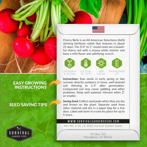 Miniatura 2 de Survival Garden Seeds - Semilla de rábano Cherry Belle para plantar - Paquete con instrucciones para plantar y cultivar deliciosos rábanos rojos