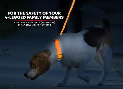 Miniatura 2 de Collar para perros LED Illumiseen, recargable por USB, Anaranjado encendido