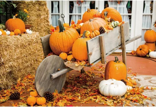 Miniatura 17 de Telón de fondo de otoño de 5 x 3 pies para sesión de fotos, tablero de madera de otoño para fotografía, decoración de pared de Acción de Gracias