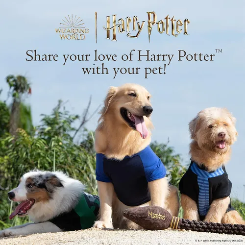 Miniatura 7 de Harry Potter Ravenclaw Suéter para perro, ropa exterior para mascotas, ropa y accesorios para perros con licencia oficial para casas de Hogwarts