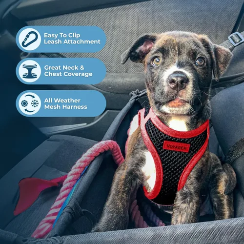 Miniatura 5 de Best Pet Supplies - Arnés de malla para todos los climas Voyager Step-in Air con correa reflectante de 5 pies y mango de neopreno, para perros