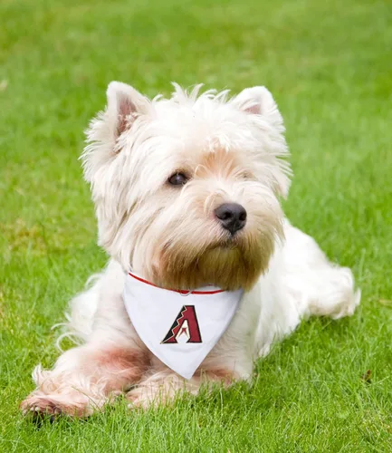 Miniatura 2 de MLB Bandana – Arizona Diamondbacks Bandana para perro con collar reflectante y ajustable para perro, talla S