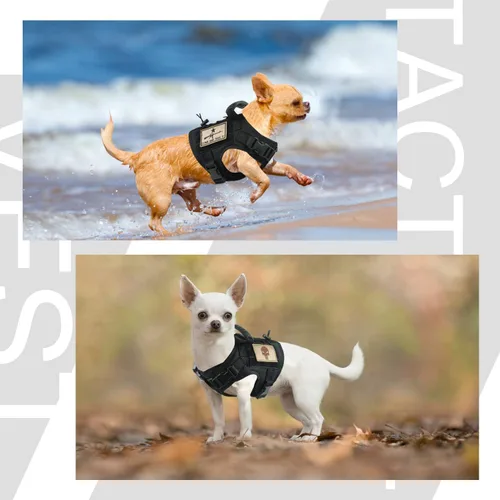 Miniatura 2 de Arnés táctico para perro, chaleco de entrenamiento al aire libre, chaleco ajustable para perro de trabajo militar con sistema Molle y mango de goma