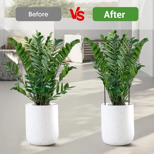 Miniatura 6 de Kikhope Estacas de soporte para plantas, paquete de 8 estacas de metal para jardín, jaula de soporte de peonía semicircular, soporte de bordes