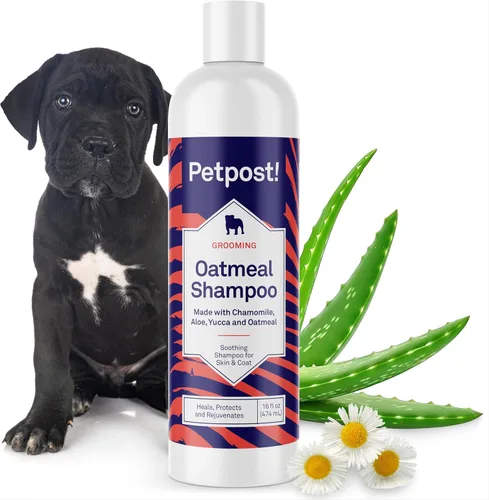 Miniatura 14 de Petpost Champú de argán para perros. Champú para perros con aceite de argán y aloe. Hidrata la piel seca, suaviza el pelaje, restaura el brillo. 8