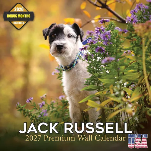 Miniatura 68 de Calendario 2025 2026 de cachorros Cocker Spaniel - Calendario mensual de pared de raza de perro - 12" x 24" abierto - Papel grueso sin sangrado